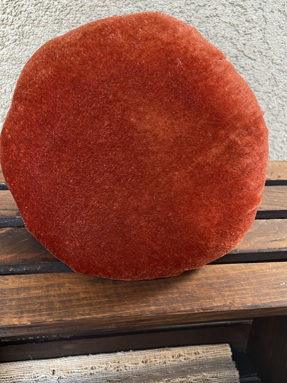 Velvet Pumpkin - Picture 3 of 3